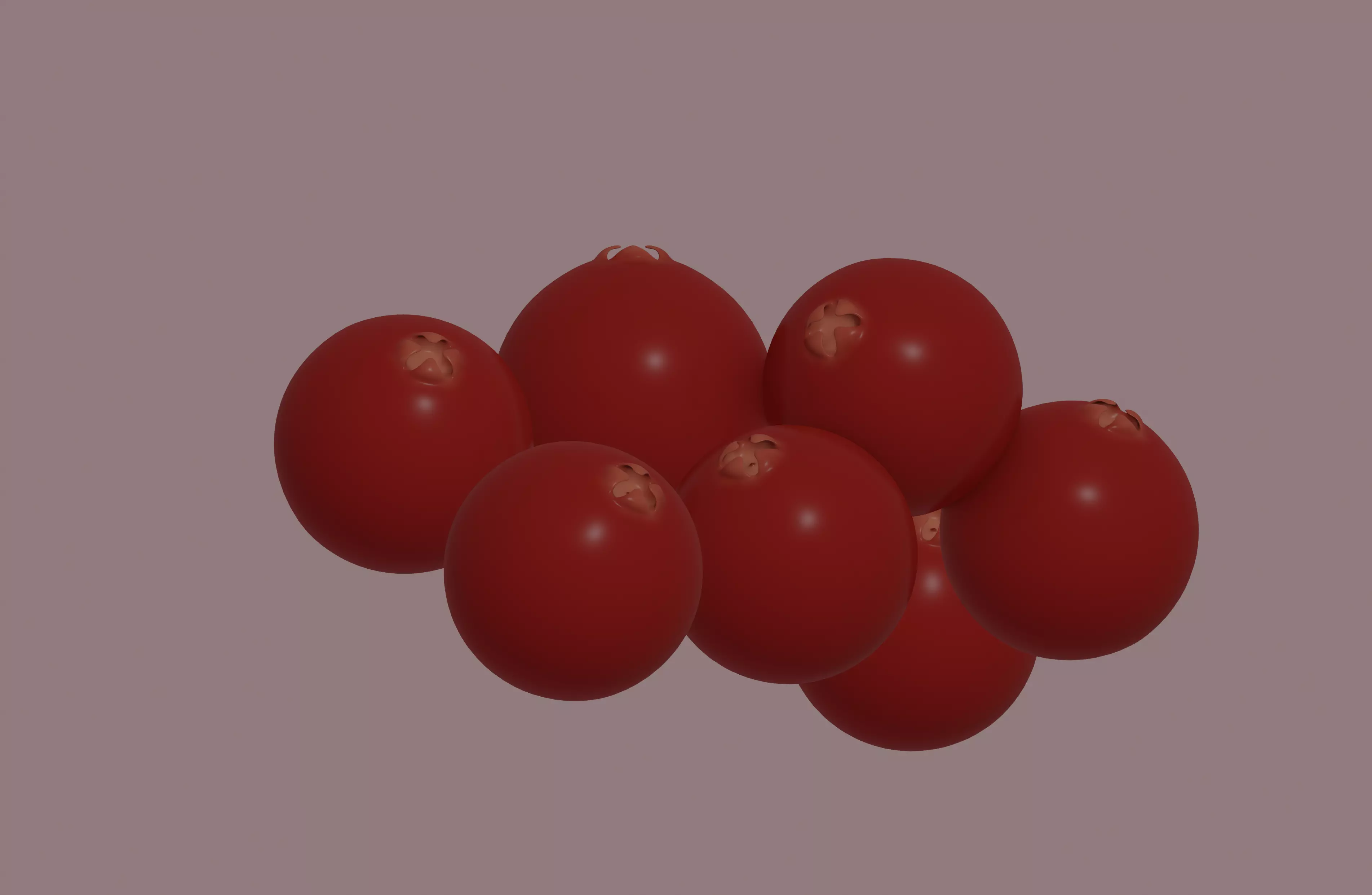 Cranberry 3D model_0