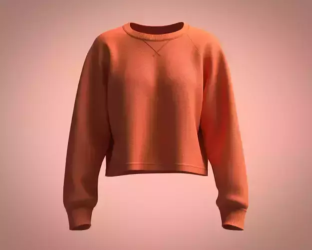 Girls-Reglan Sleeve Crop Sweatshirt