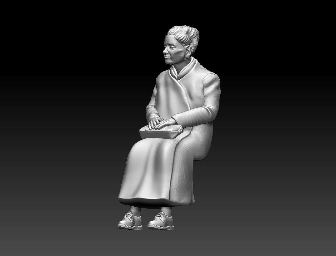 PASSENGER 3D print model_33
