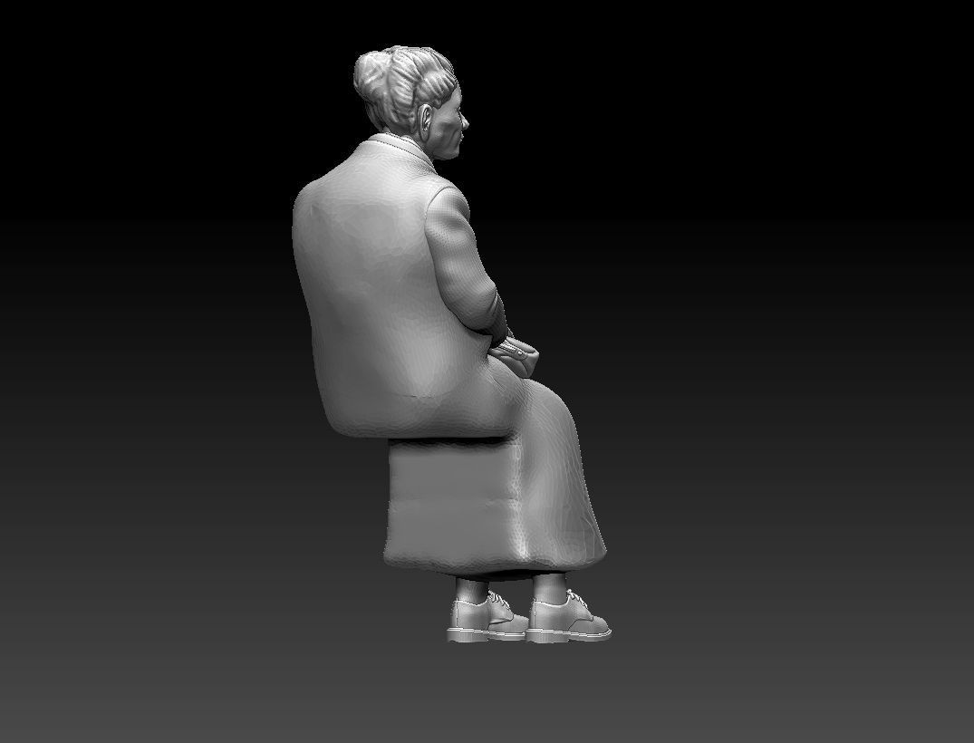 PASSENGER 3D print model_13