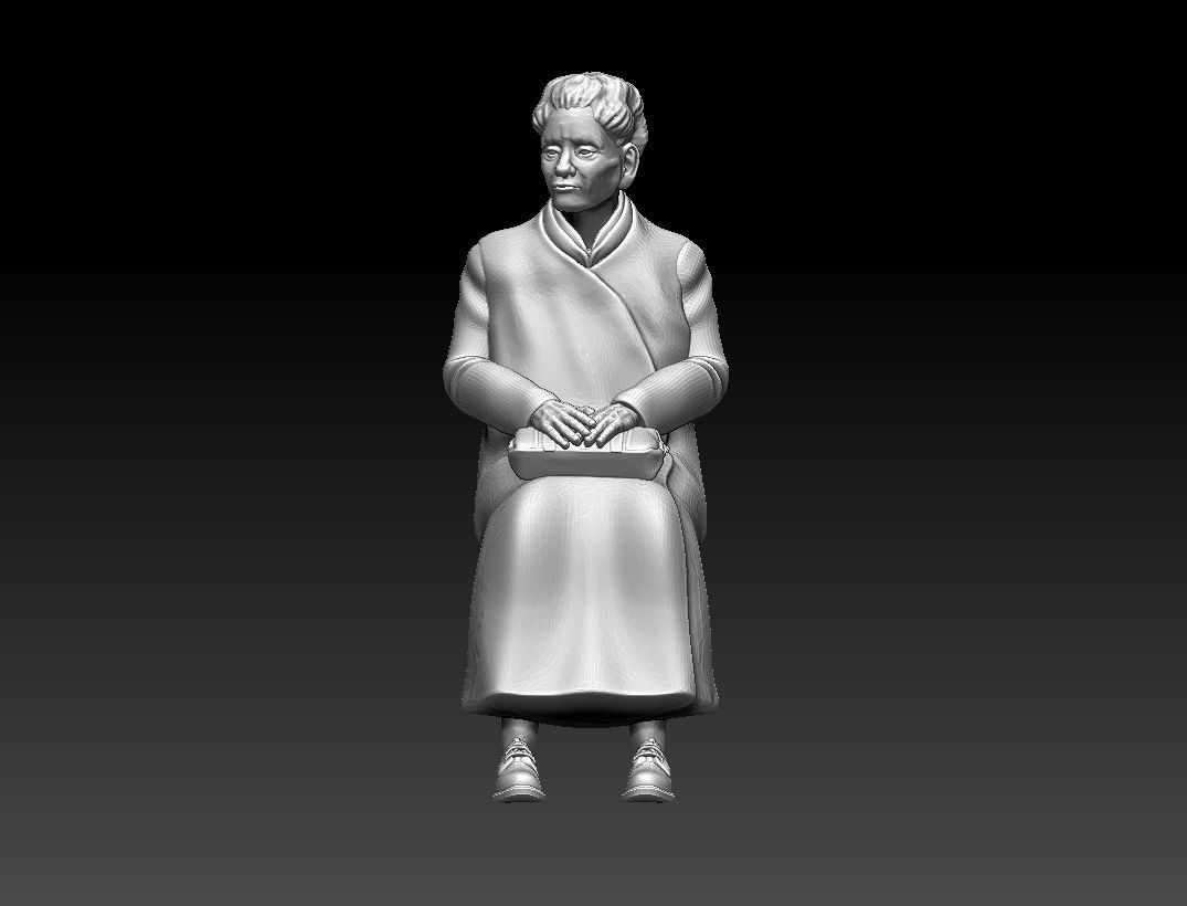 PASSENGER 3D print model_41