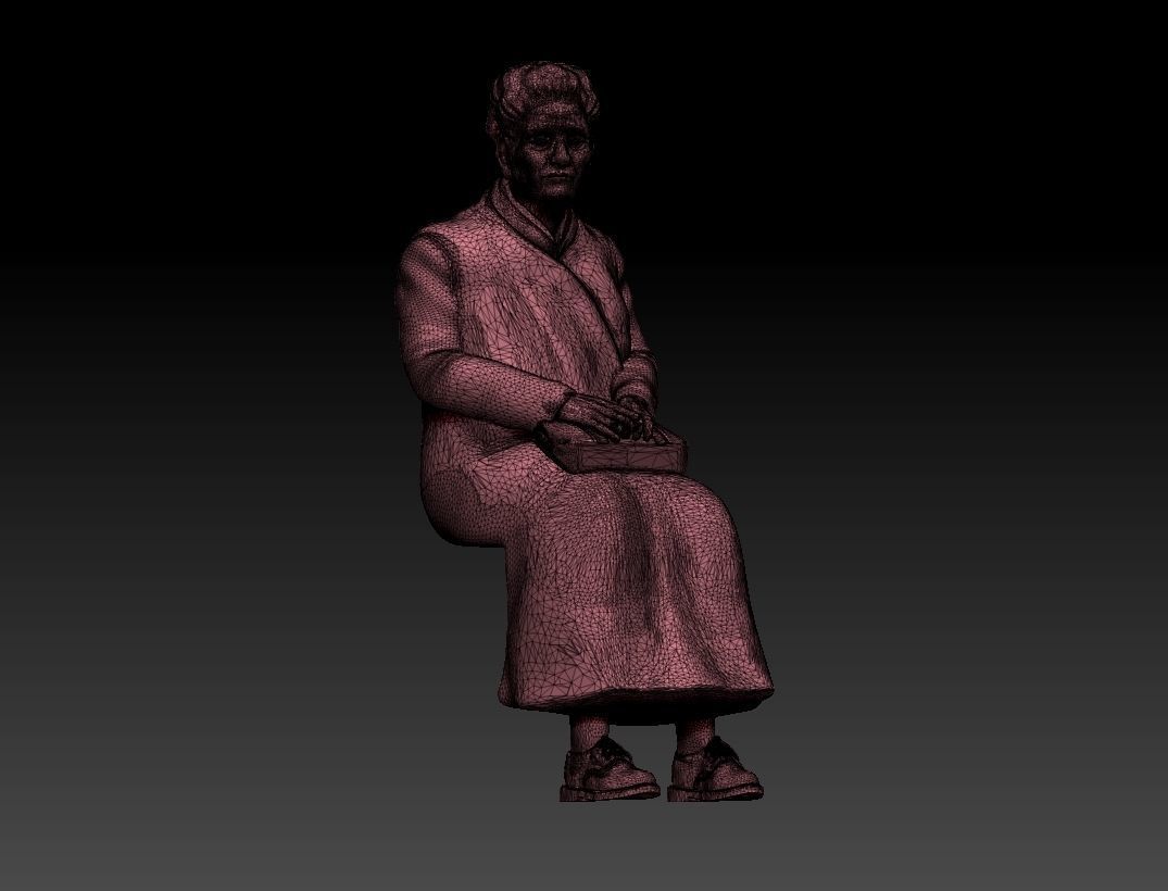 PASSENGER 3D print model_48