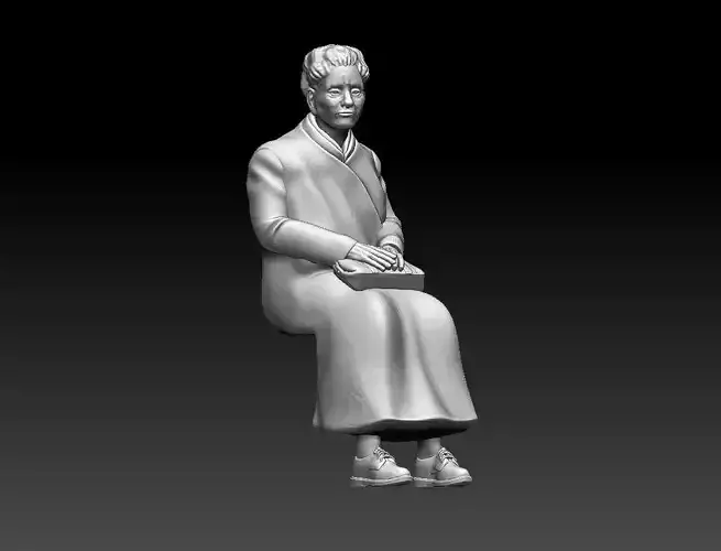 PASSENGER 3D print model
