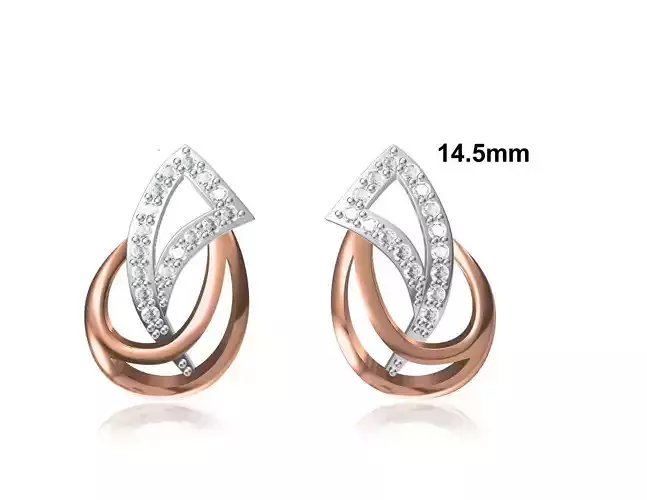 Women Earring STL OBJ FBX JCD Details 3D print model