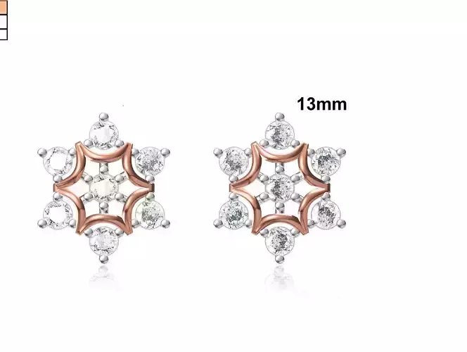 Women Earring STL OBJ FBX JCD Details 3D print model