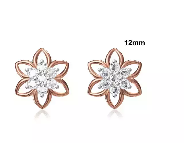 Women Stud Earring STL OBJ FBX JCD Details