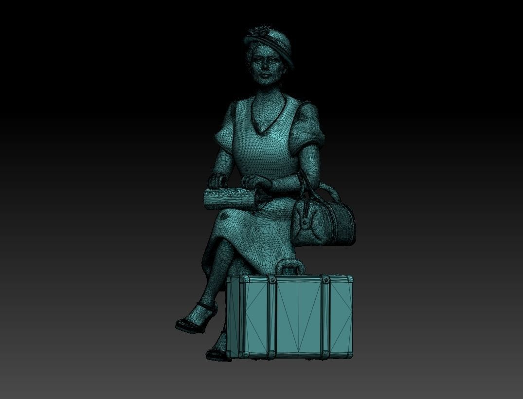 PASSENGER 3D print model_16