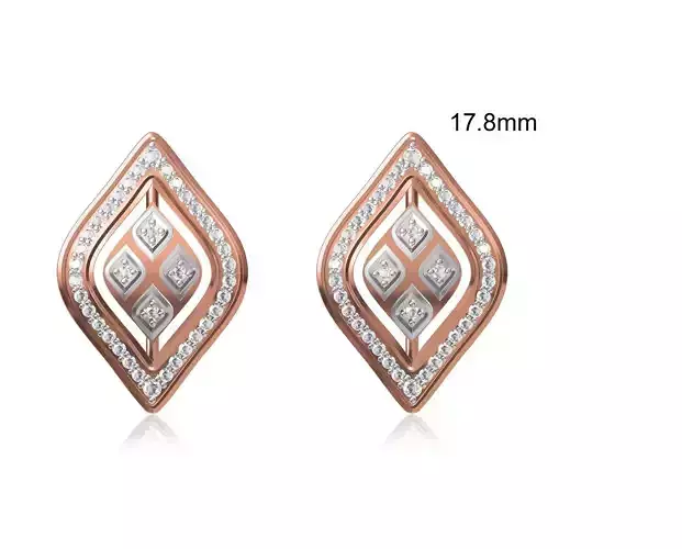 Women Stud Earring STL OBJ FBX JCD Details 3D print model