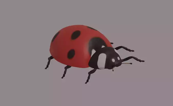 Ladybug 3D model