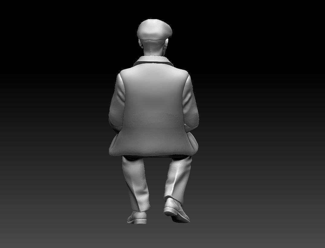 PASSENGER 3D print model_24