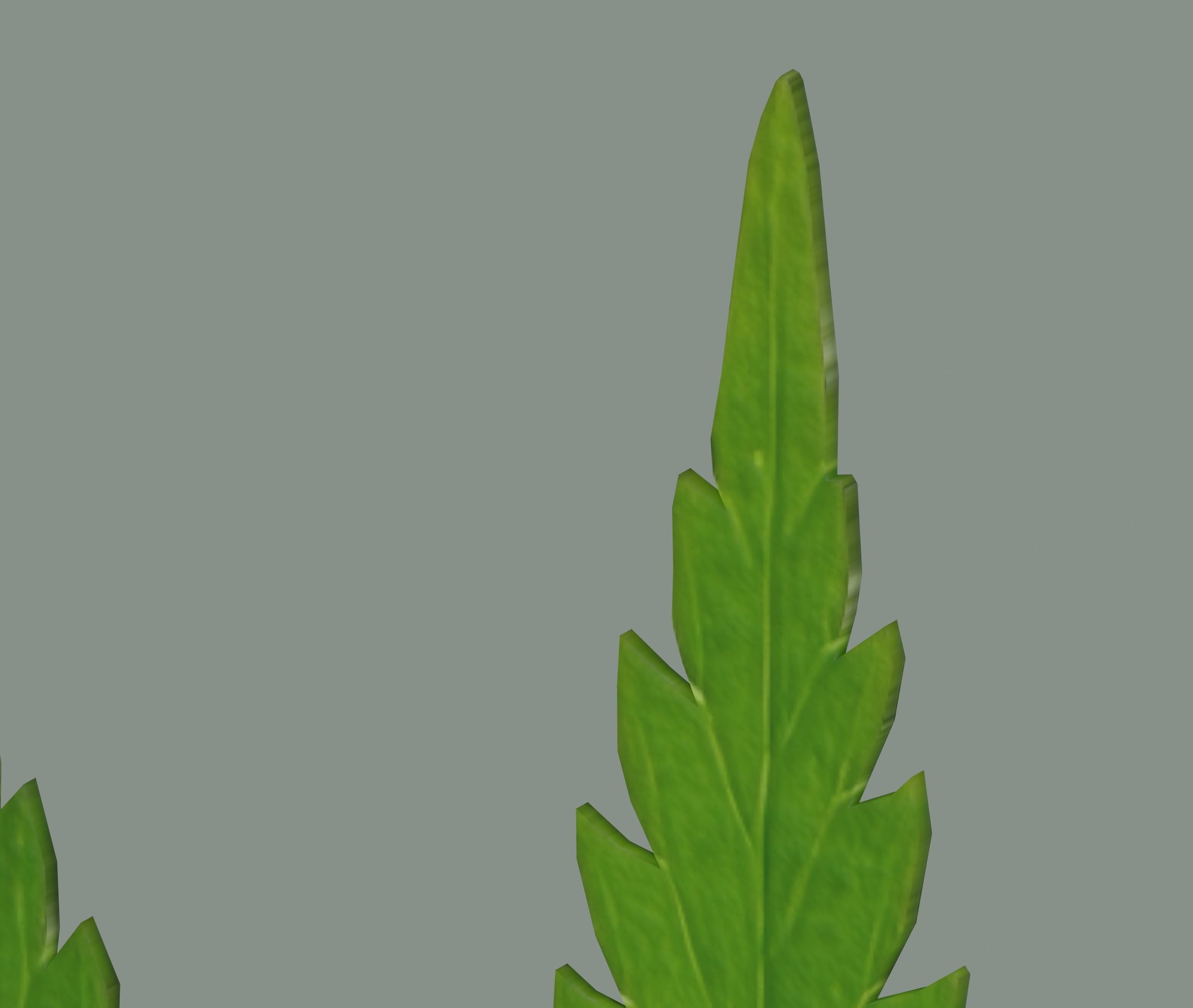 Cannabis Leaf Realistic 3D model_8