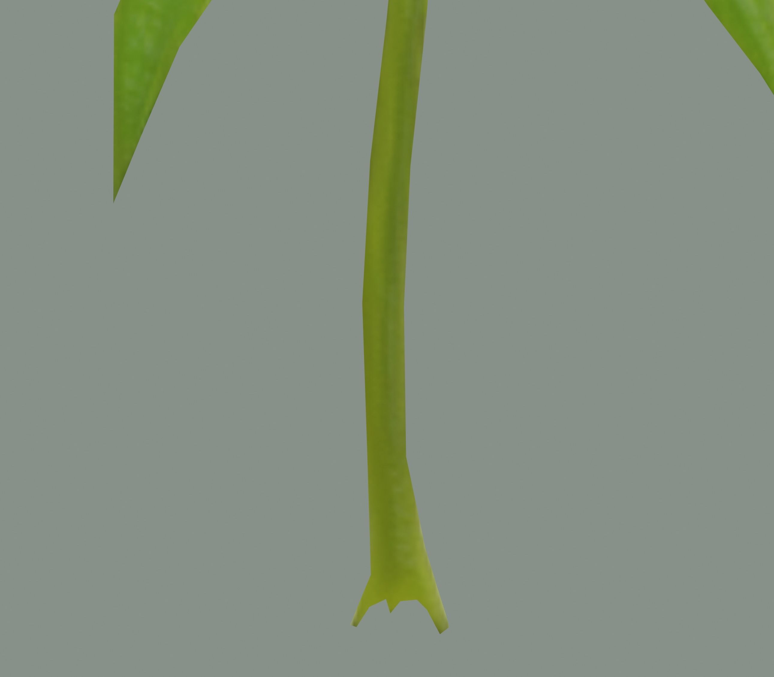 Cannabis Leaf Realistic 3D model_11