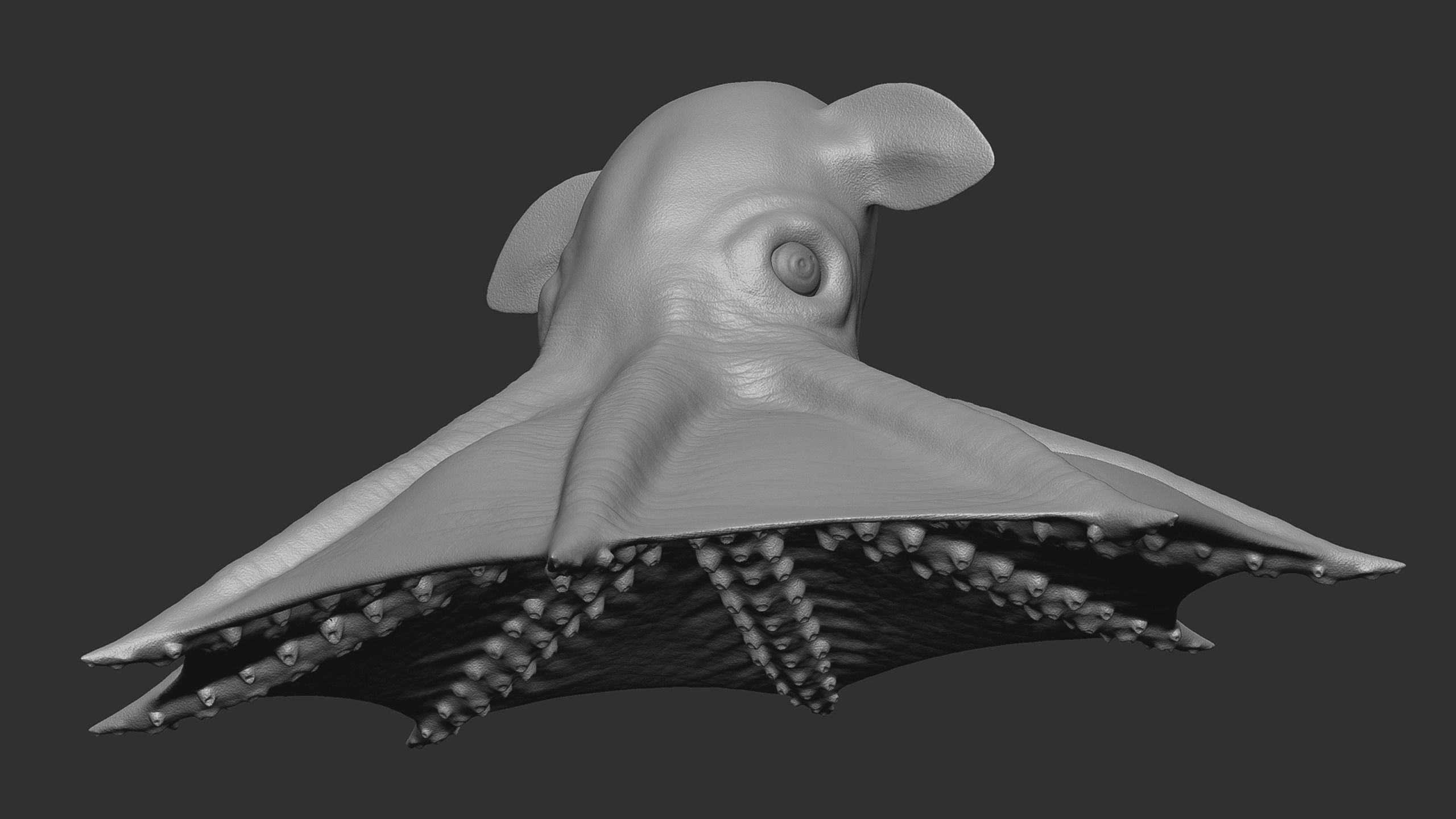 Grimpoteuthis - Dumbo Octopus - Ver 2024  Low-poly 3D model_6