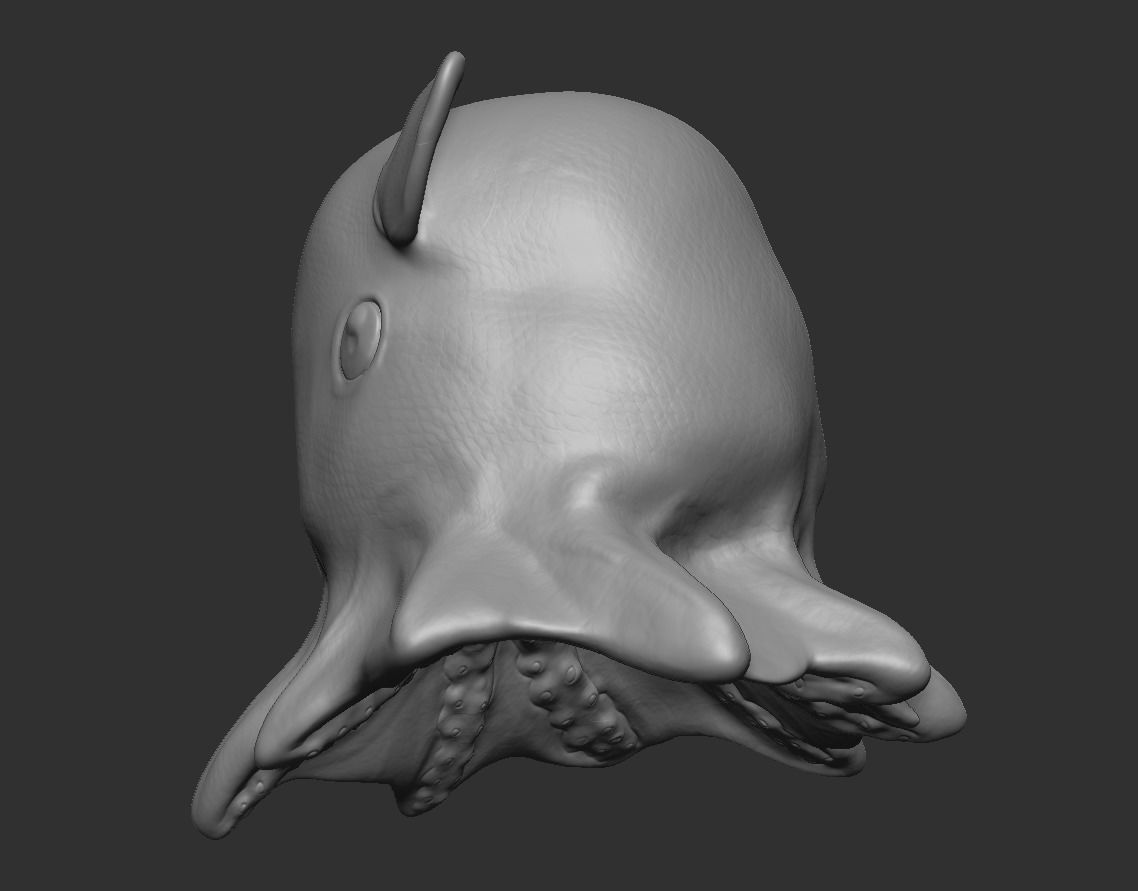 Grimpoteuthis - Dumbo Octopus - Ver 2024  Low-poly 3D model_16