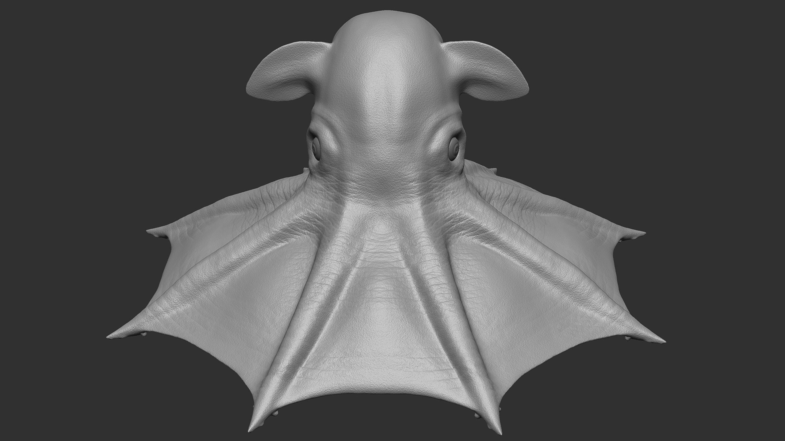 Grimpoteuthis - Dumbo Octopus - Ver 2024  Low-poly 3D model_9