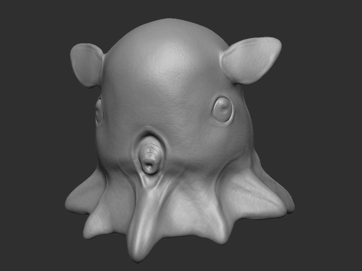 Grimpoteuthis - Dumbo Octopus - Ver 2024  Low-poly 3D model_24