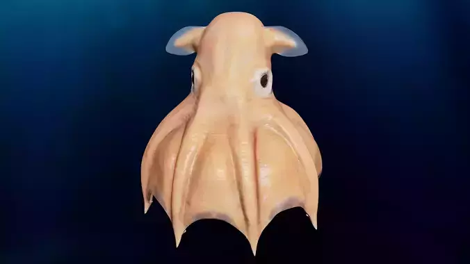 Grimpoteuthis - Dumbo Octopus - Ver 2024  Low-poly 3D model
