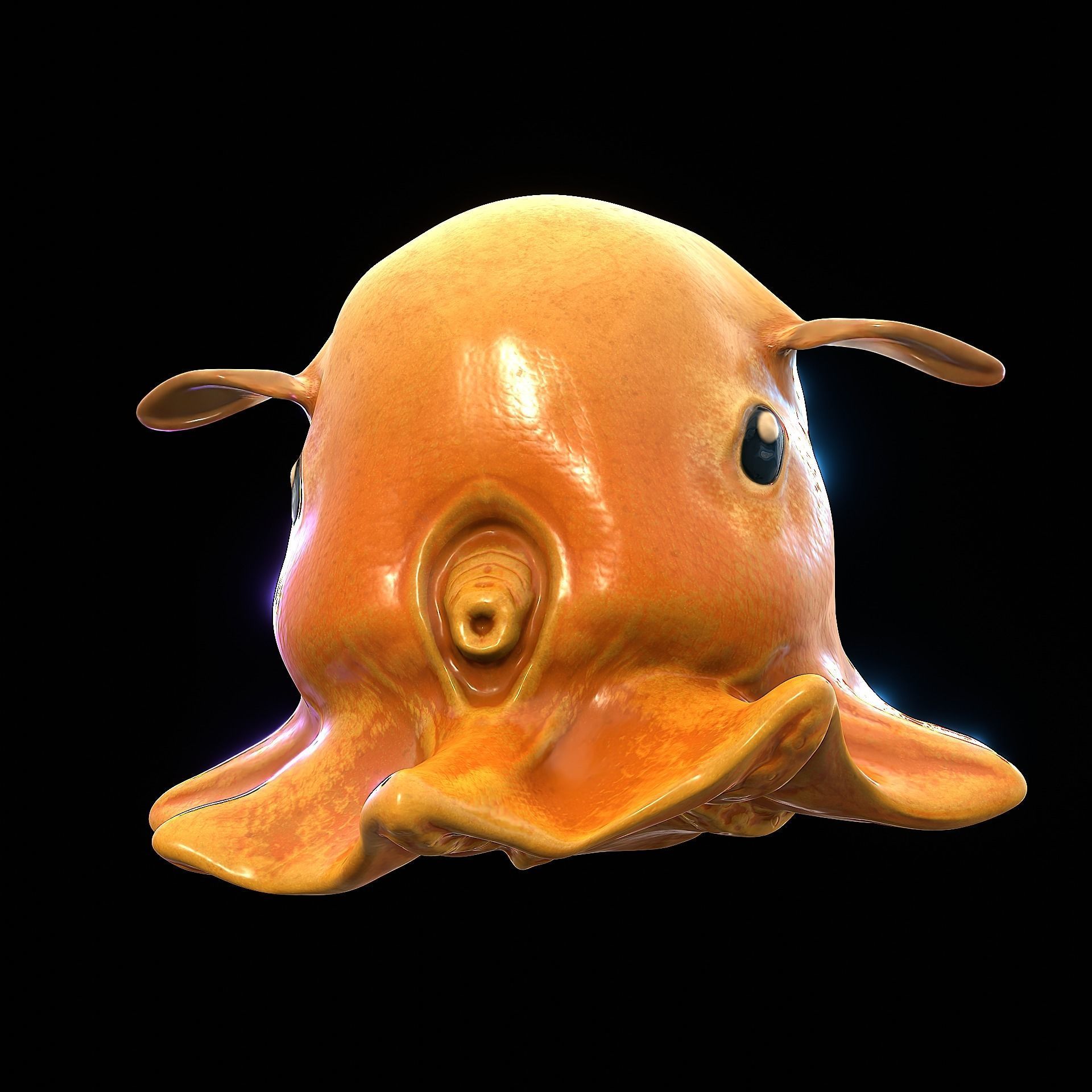 Grimpoteuthis - Dumbo Octopus - Ver 2024  Low-poly 3D model_27