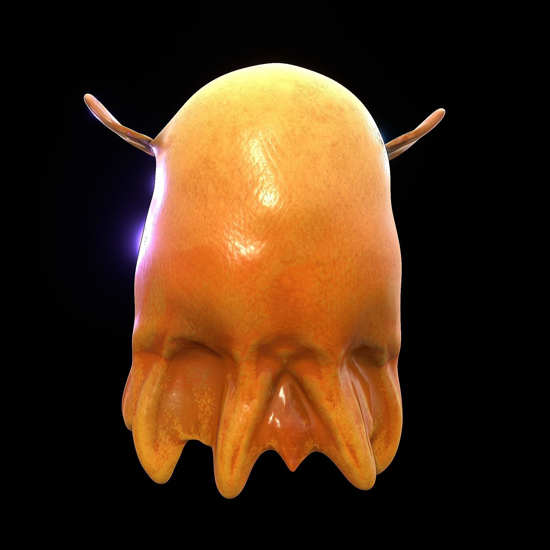 Grimpoteuthis - Dumbo Octopus - Ver 2024  Low-poly 3D model_31