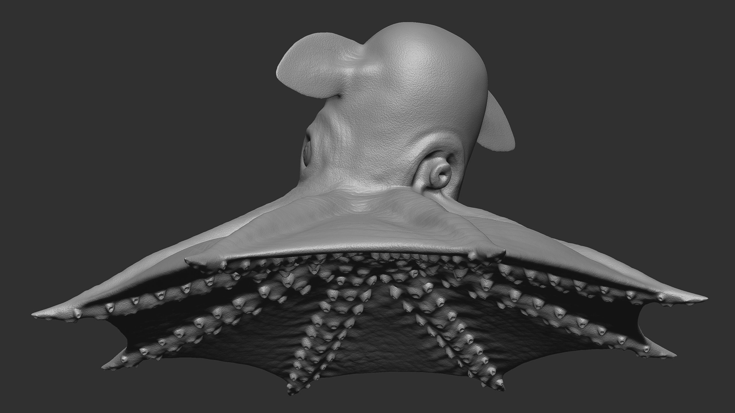 Grimpoteuthis - Dumbo Octopus - Ver 2024  Low-poly 3D model_7