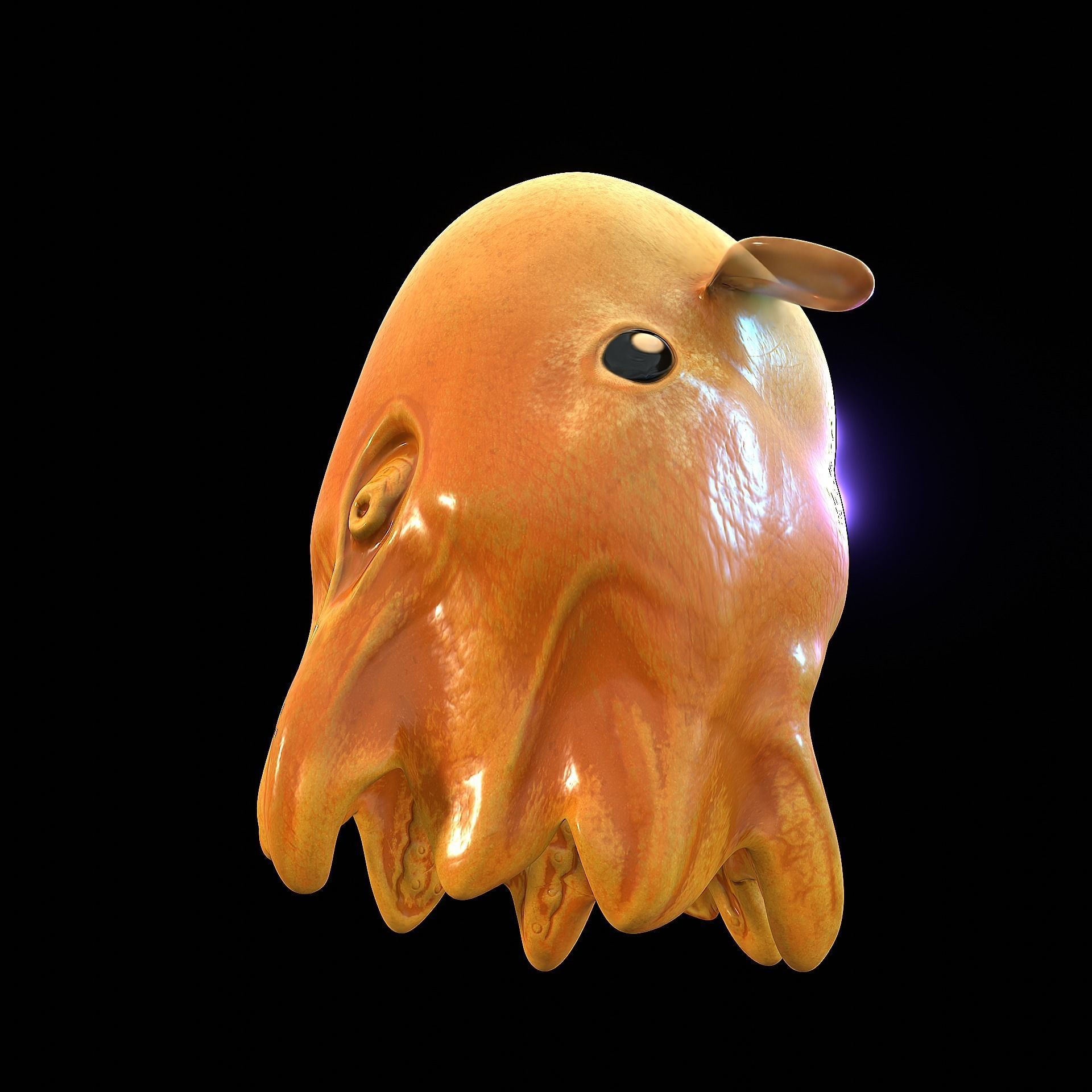 Grimpoteuthis - Dumbo Octopus - Ver 2024  Low-poly 3D model_28