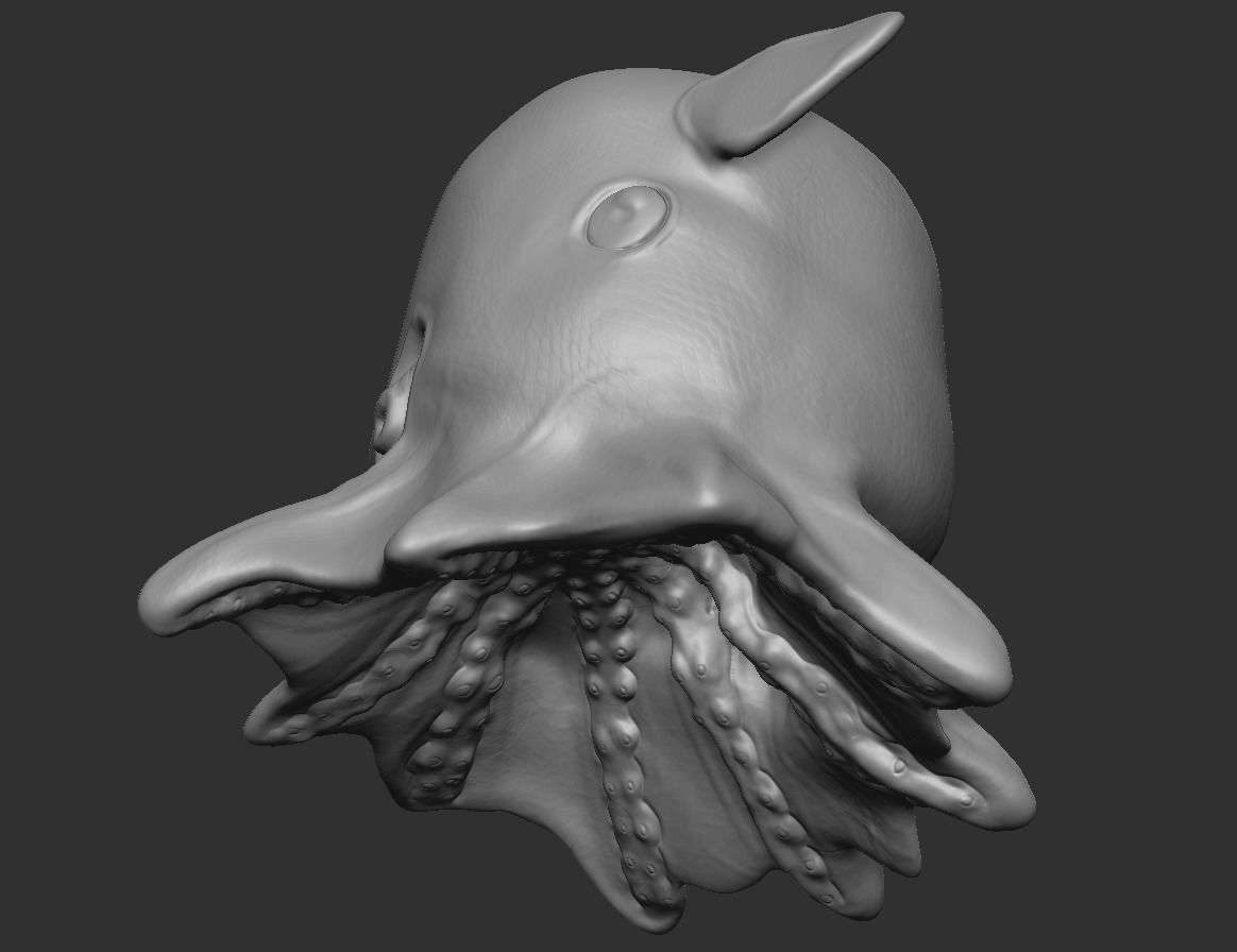 Grimpoteuthis - Dumbo Octopus - Ver 2024  Low-poly 3D model_17