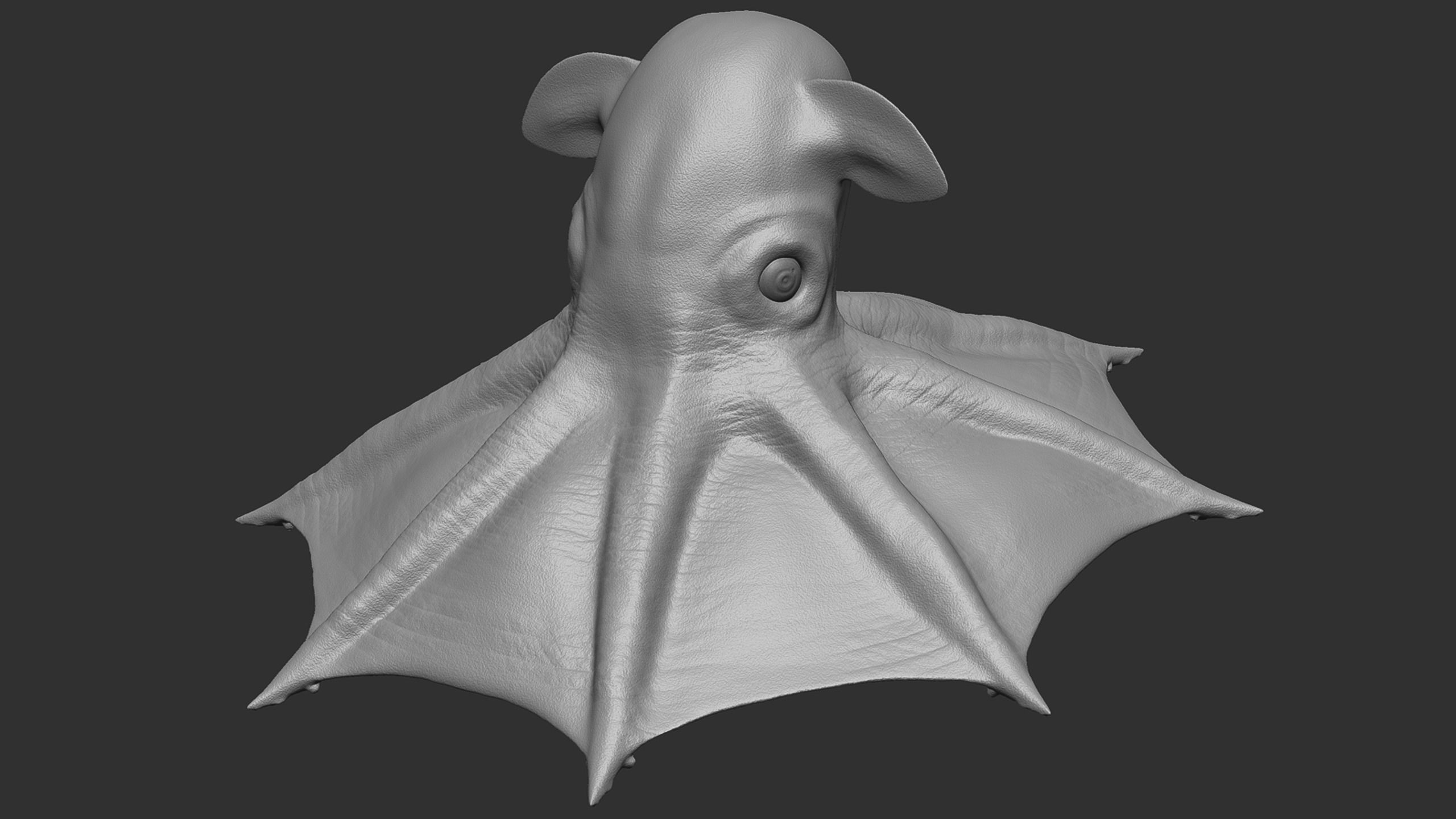 Grimpoteuthis - Dumbo Octopus - Ver 2024  Low-poly 3D model_11