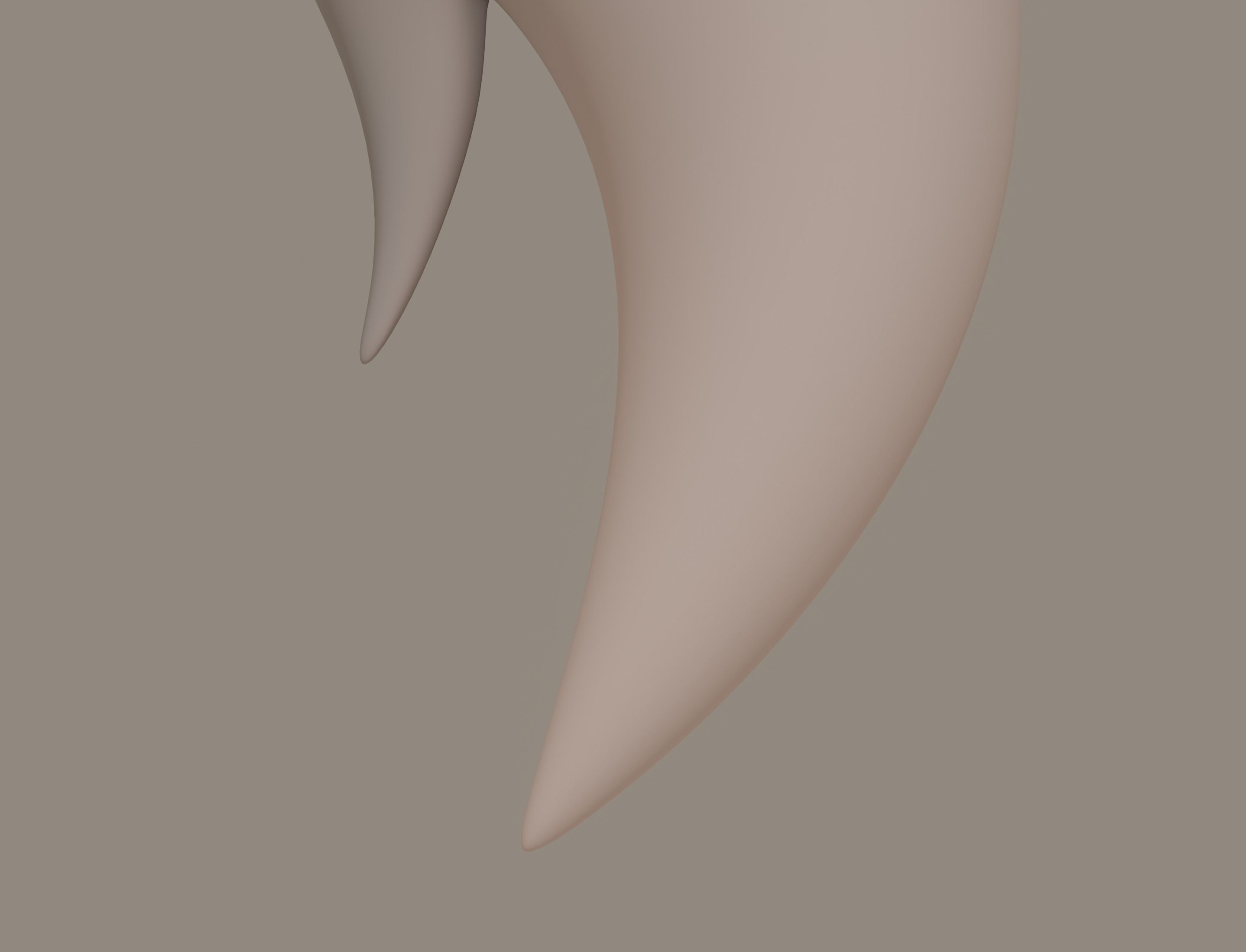Fox Tail 3D model_11