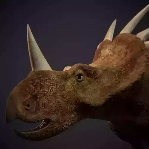 Styracosaurus - Dinosaur 3D model