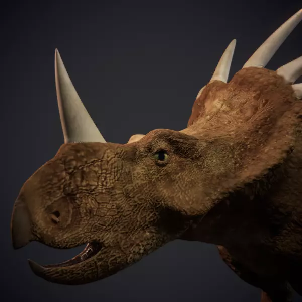 Styracosaurus - Dinosaur 3D model_0