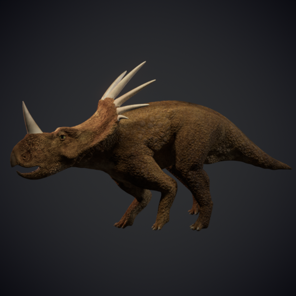 Styracosaurus - Dinosaur 3D model_2