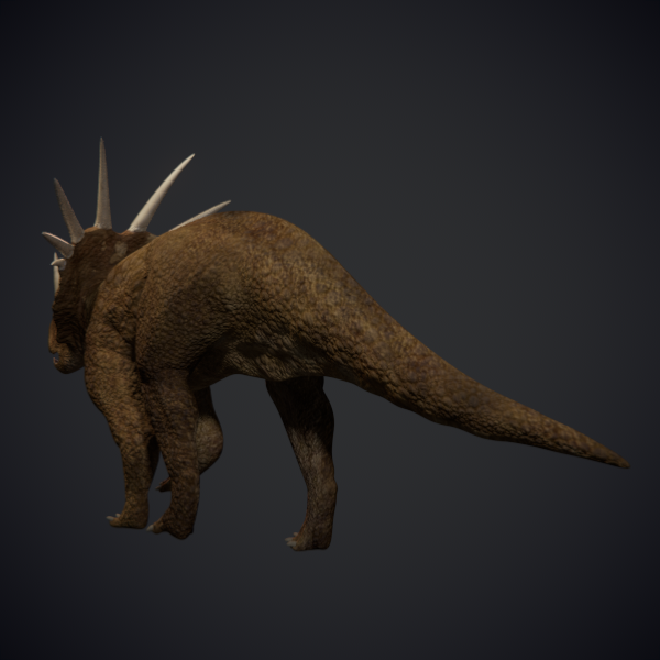 Styracosaurus - Dinosaur 3D model_3
