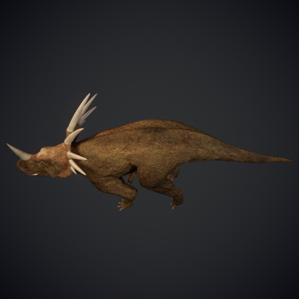 Styracosaurus - Dinosaur 3D model_4