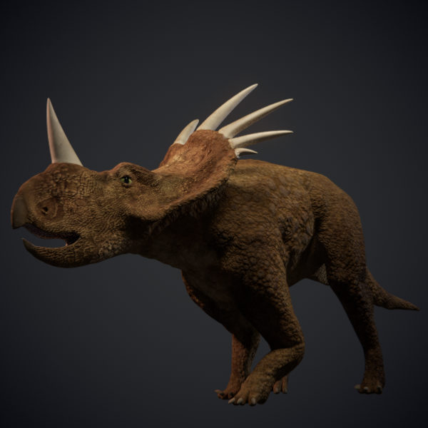 Styracosaurus - Dinosaur 3D model_1