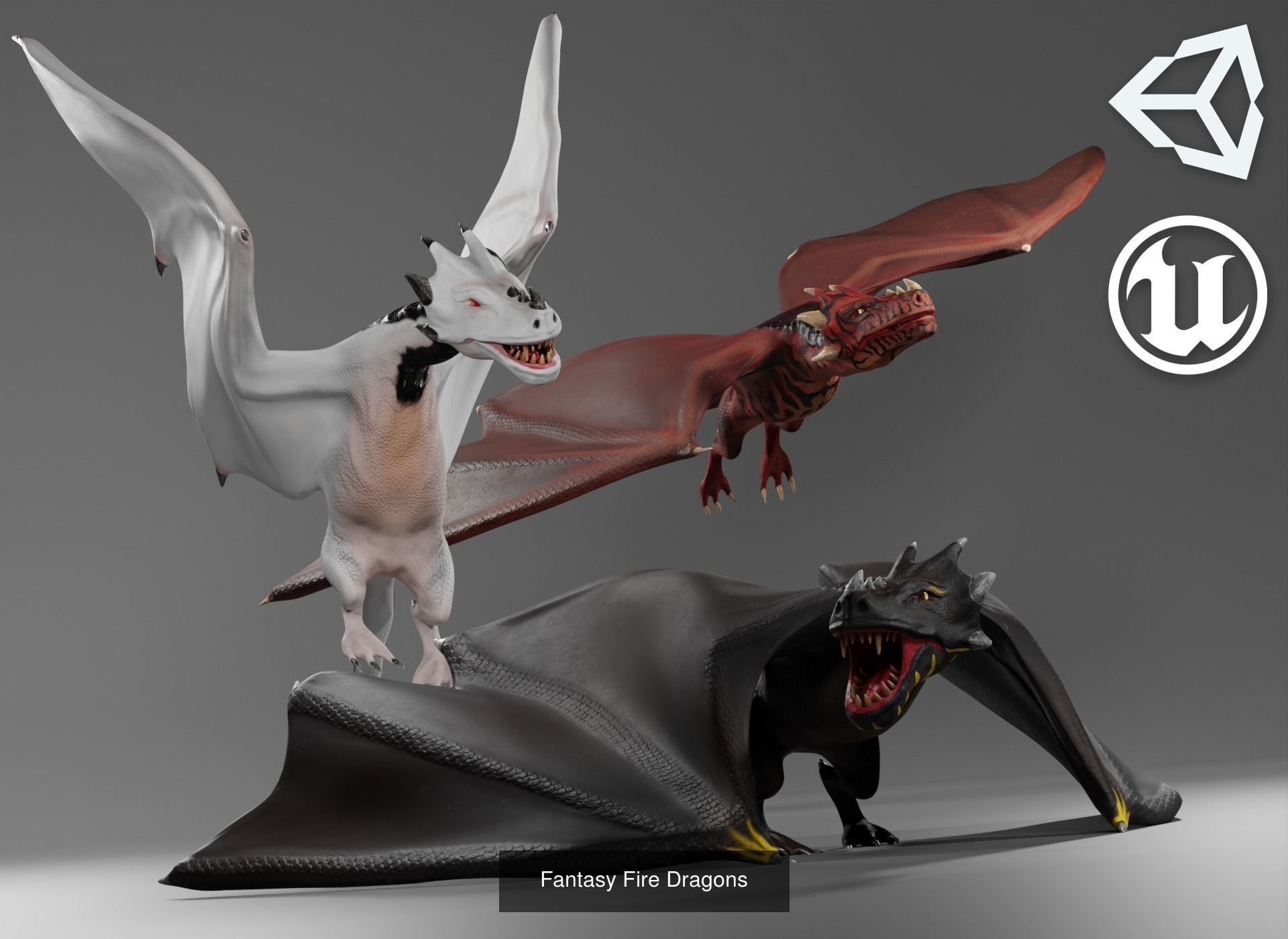 Dragons Mega Pack 3D Model Collection_11