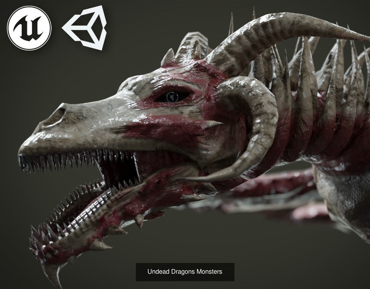Dragons Mega Pack 3D Model Collection_6