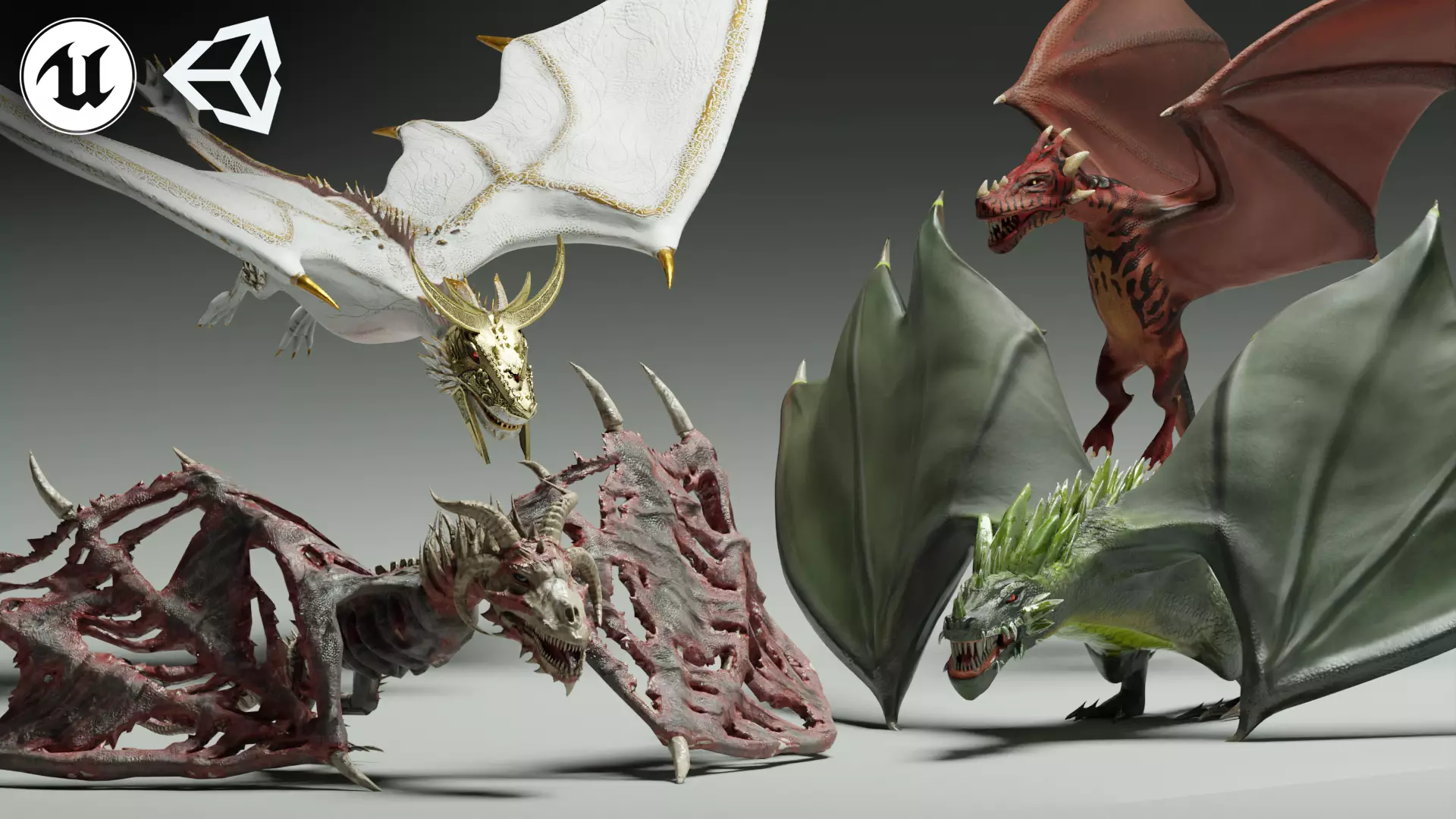 Dragons Mega Pack 3D Model Collection_0