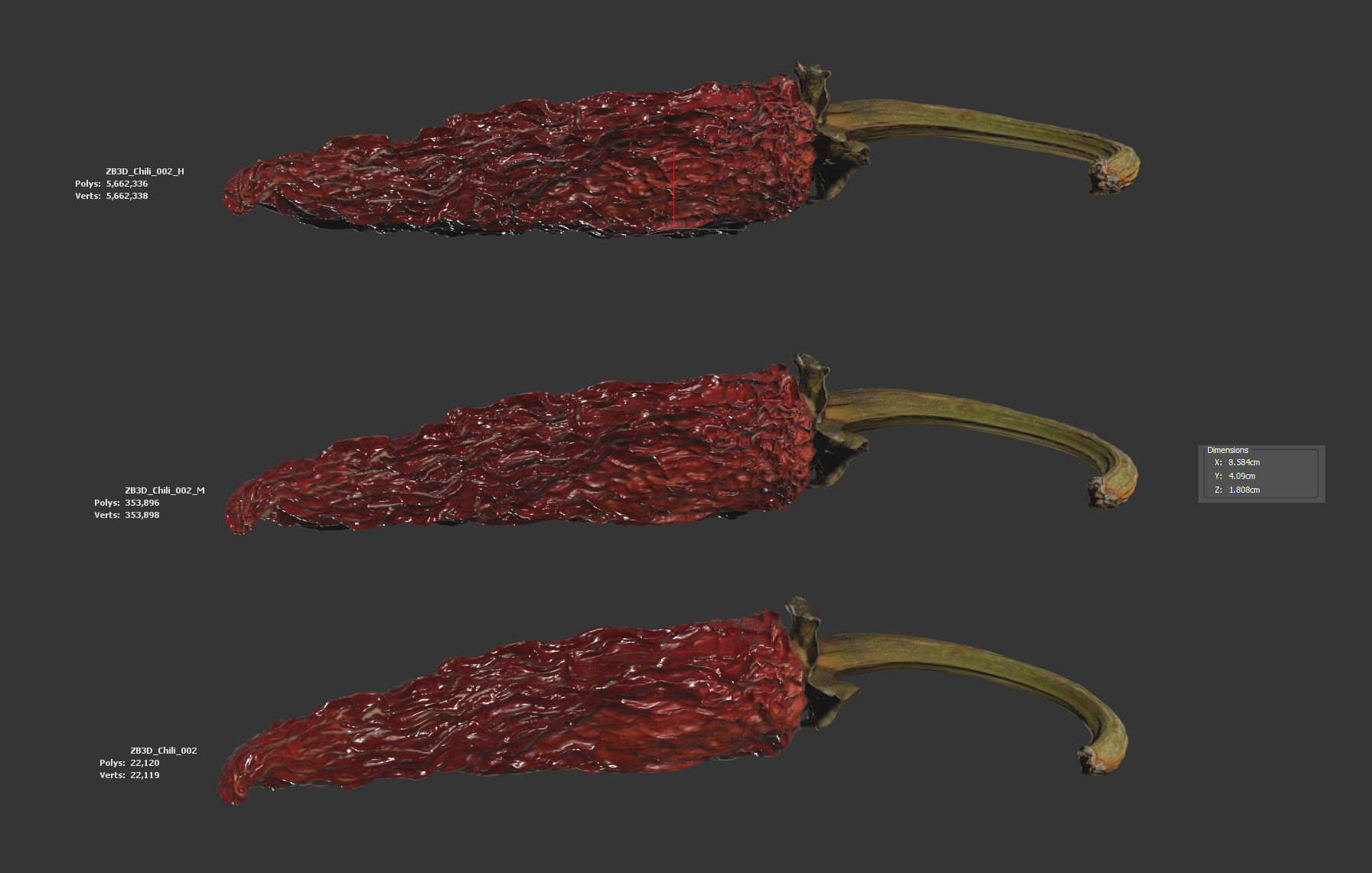 Chili 3D model_5