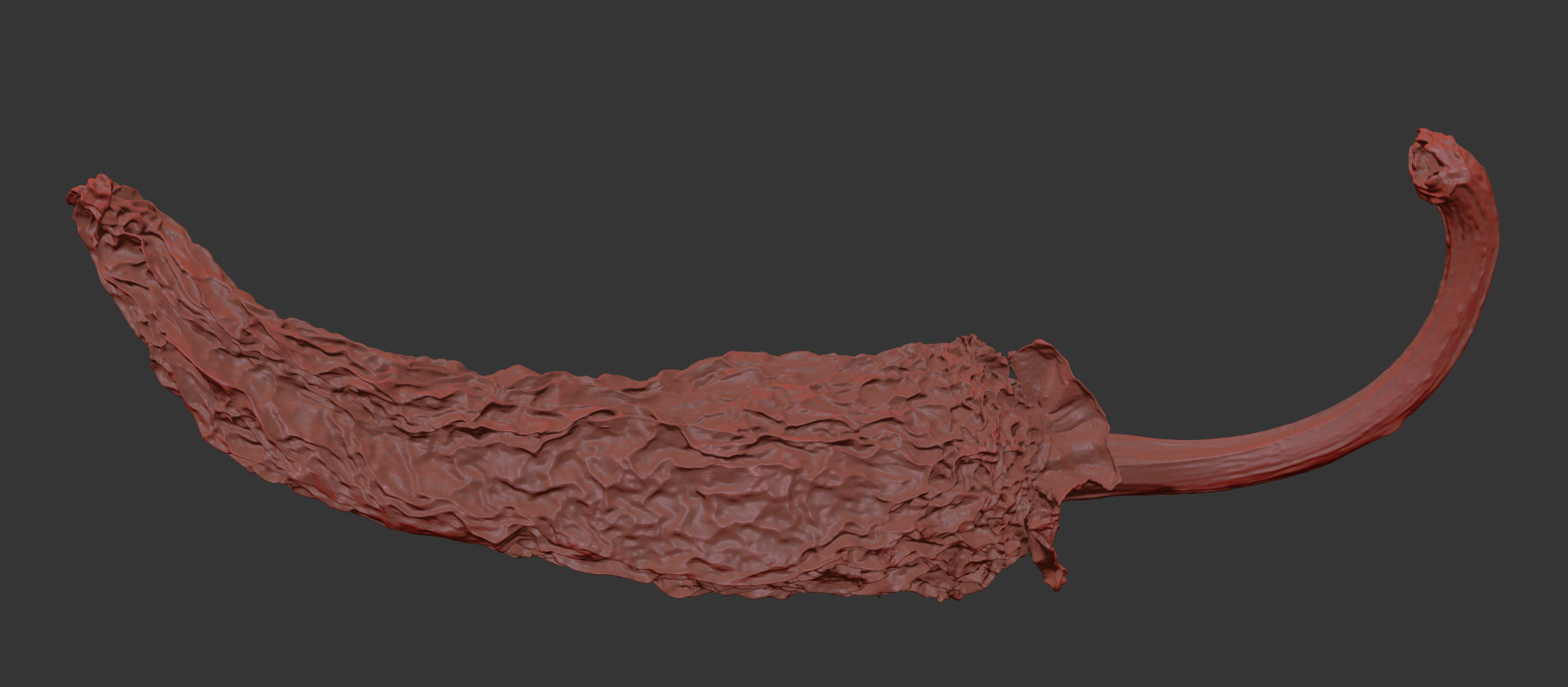 Chili 3D model_7