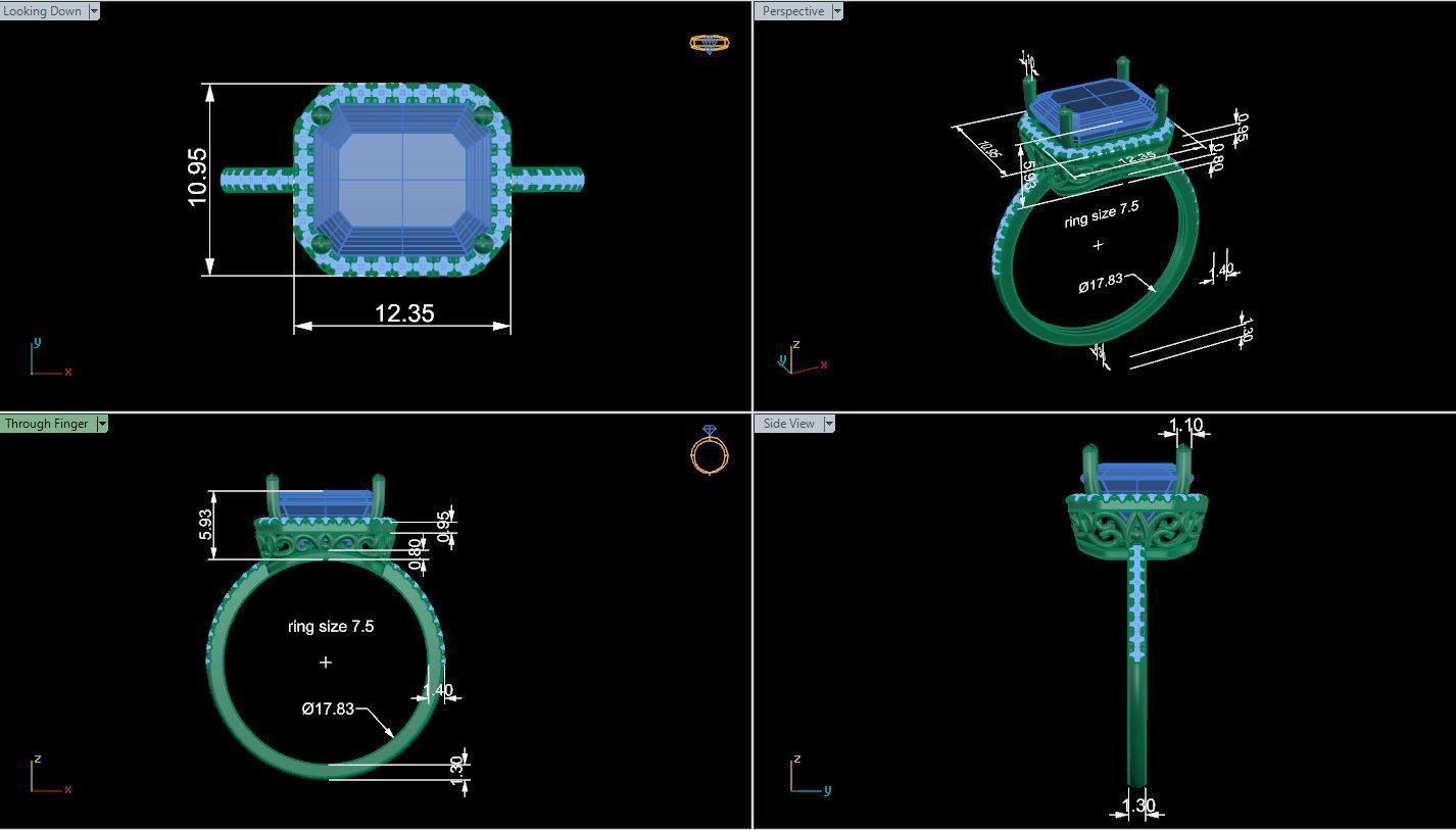 Ring N31 3D print model_12