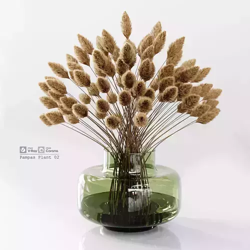 Pampas Plant 02 Low-poly 3D model