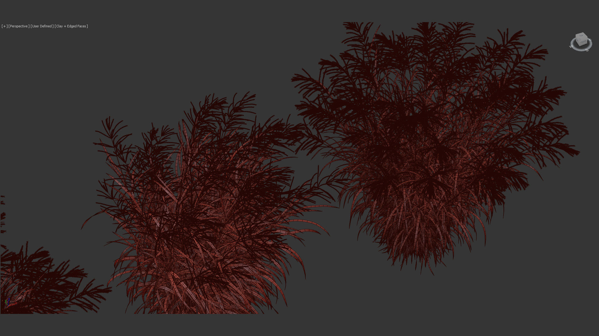 Miscanthus sinensis zebrinus Zenra grass 3D Model 02 3D model_12