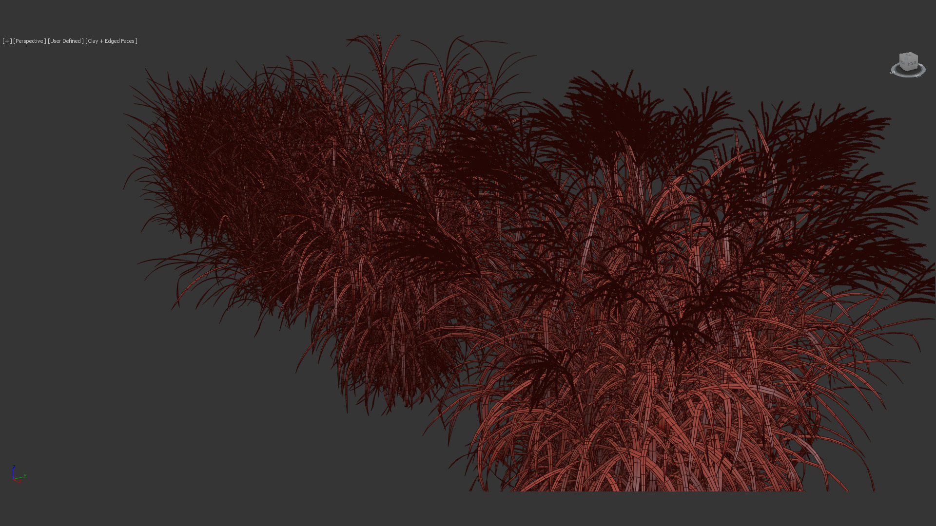 Miscanthus sinensis zebrinus Zenra grass 3D Model 02 3D model_10