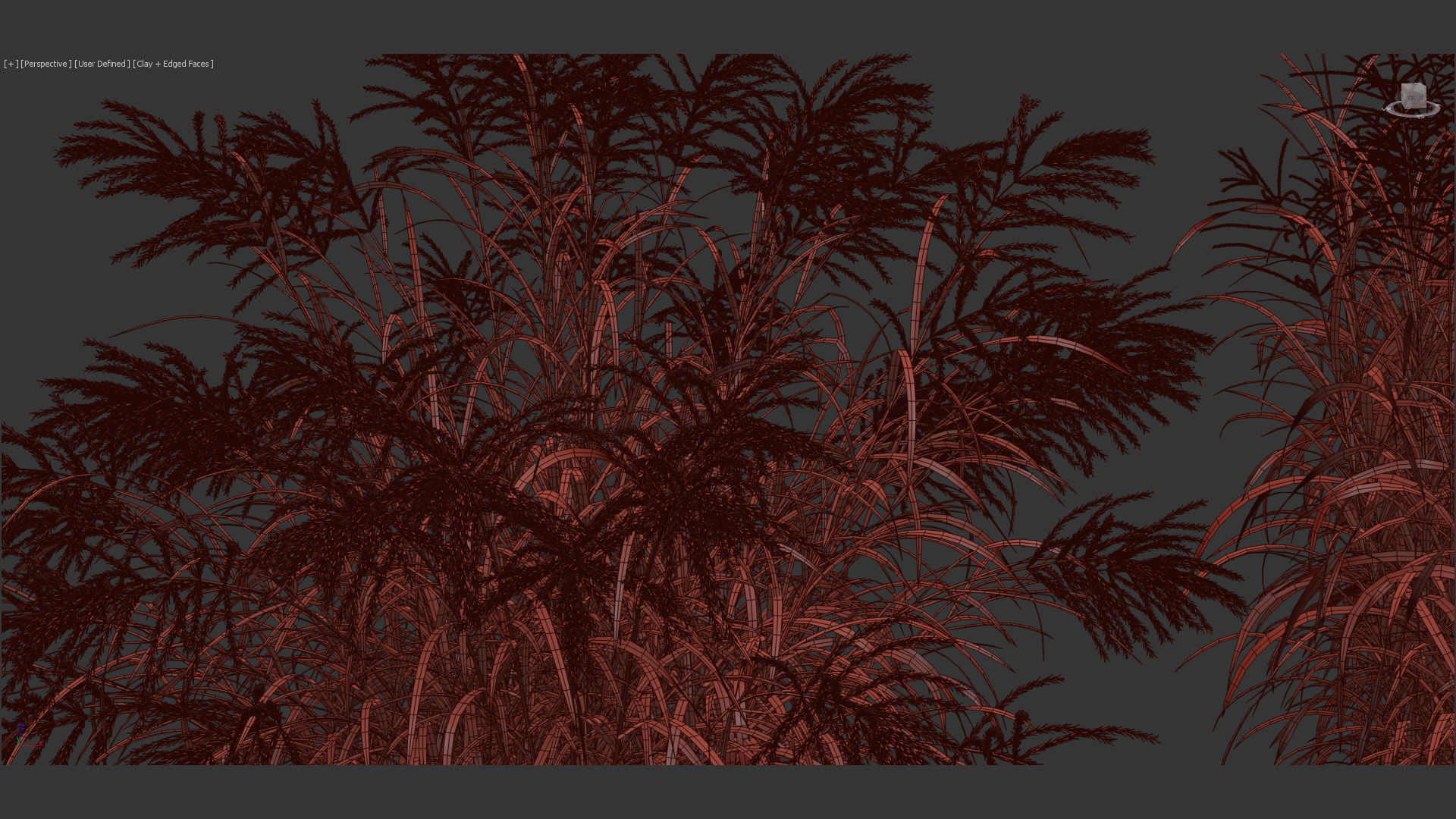 Miscanthus sinensis zebrinus Zenra grass 3D Model 02 3D model_14