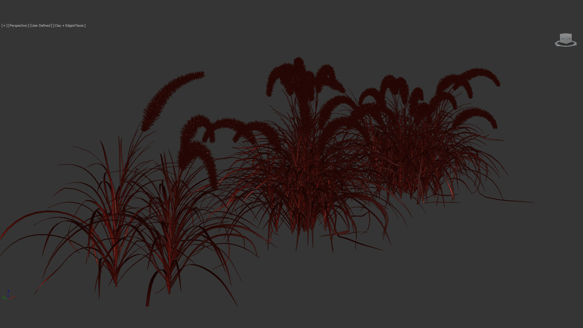 Pennisetum setaceum Fountain grass 3D Model 01 3D model_10