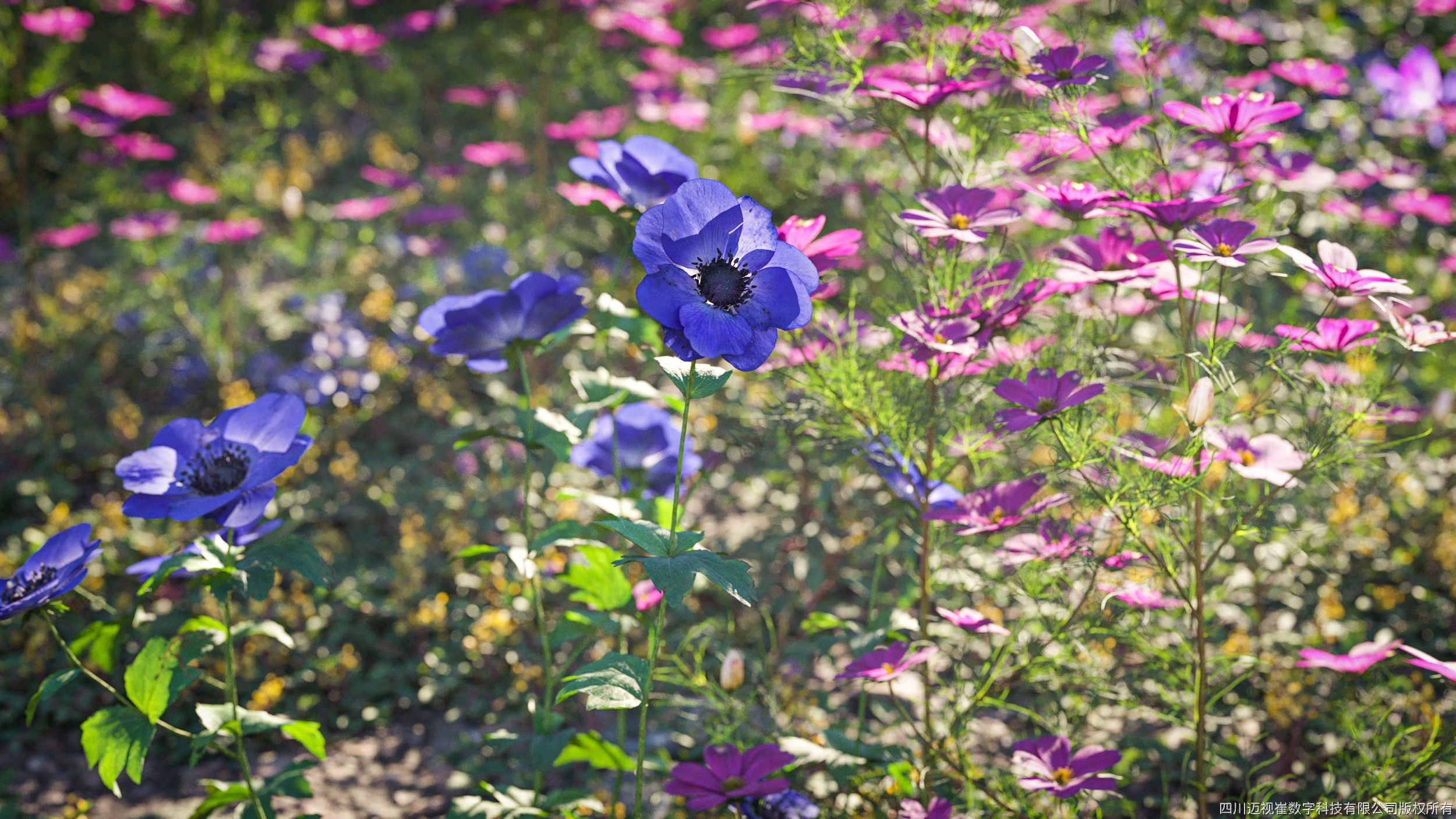 Maxtree Plant Models Vol 91 - Mesh 3D model_2