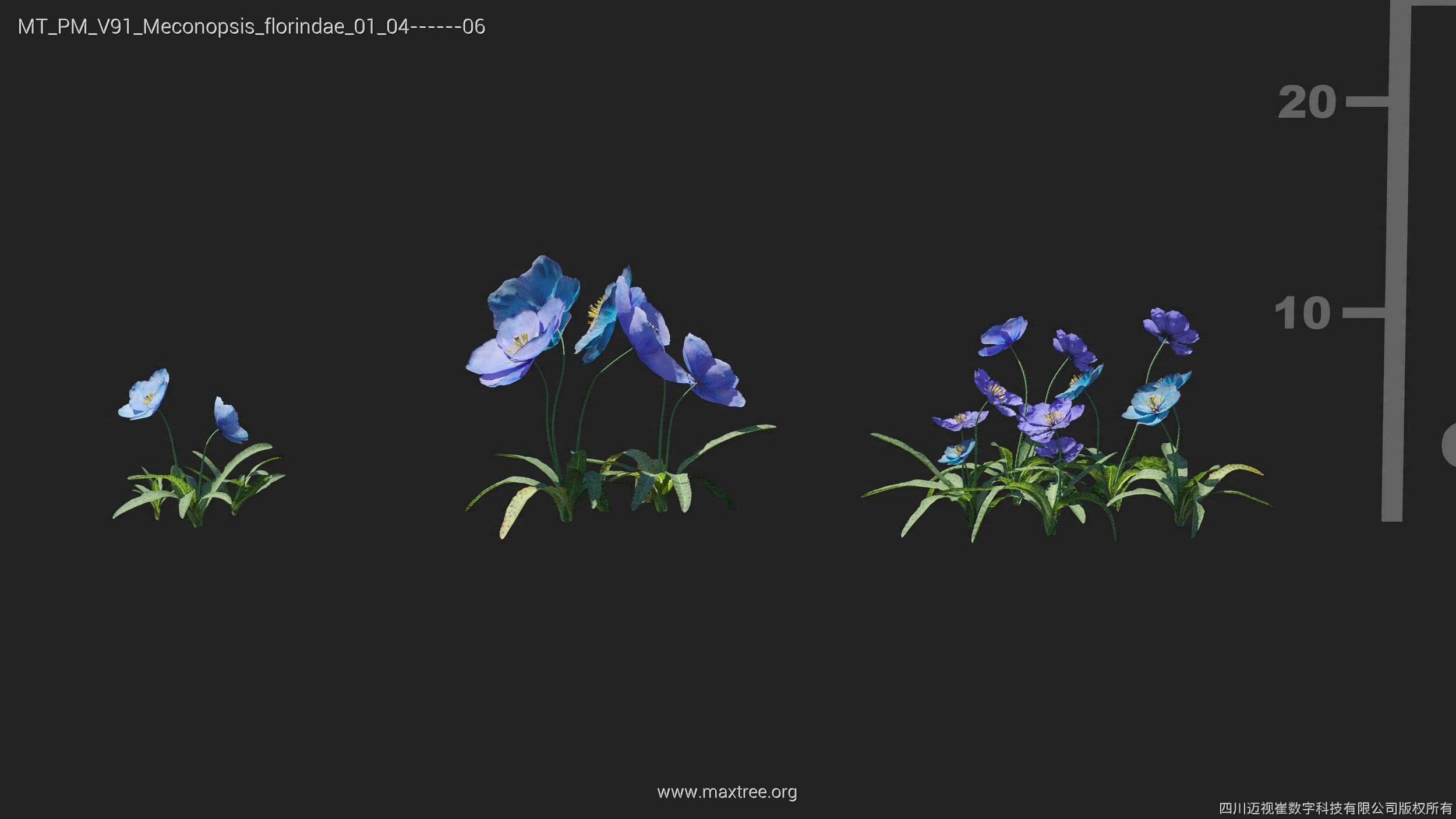 Maxtree Plant Models Vol 91 - Mesh 3D model_23