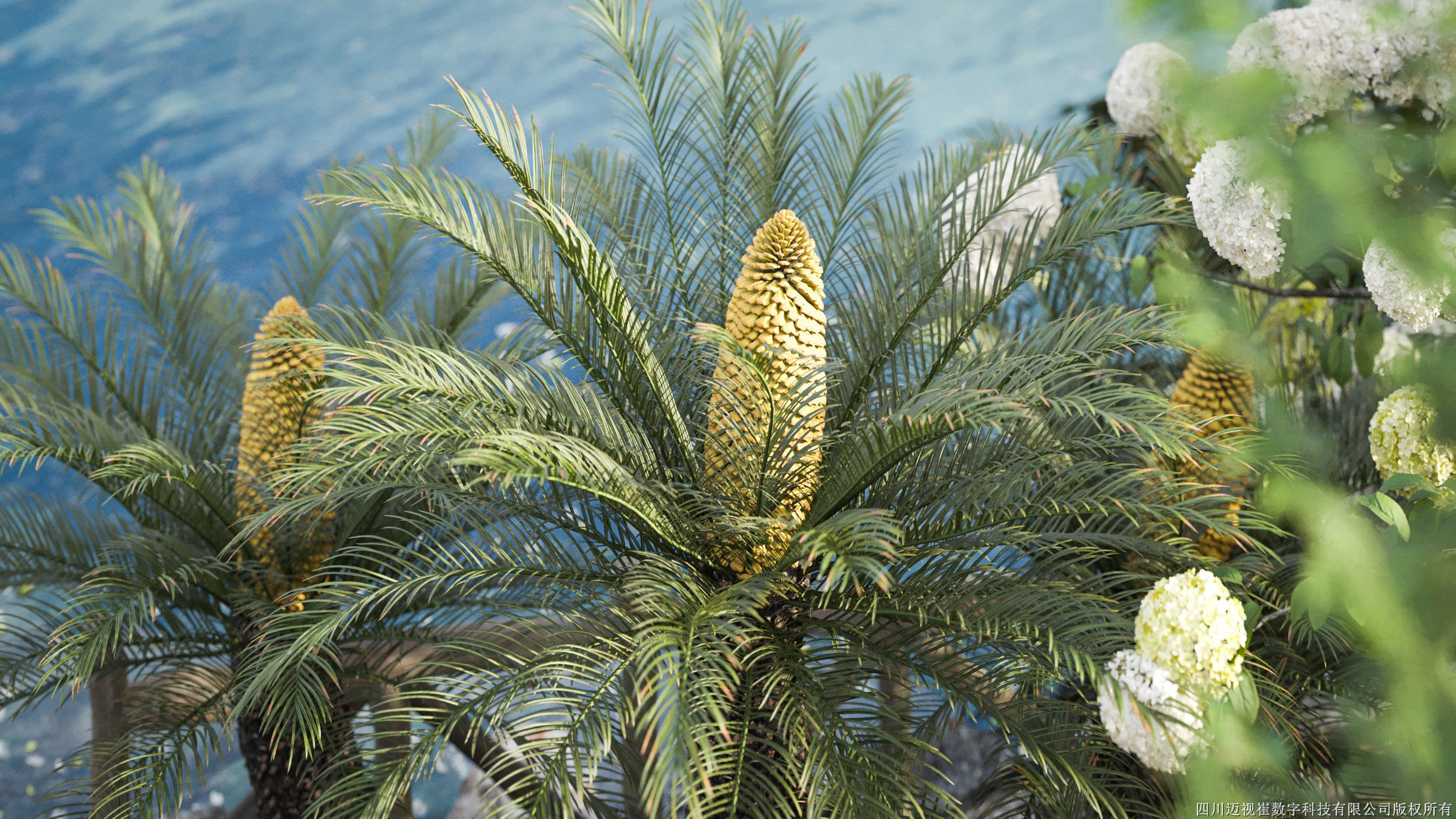 Maxtree Plant Models Vol 94 - Mesh 3D model_1