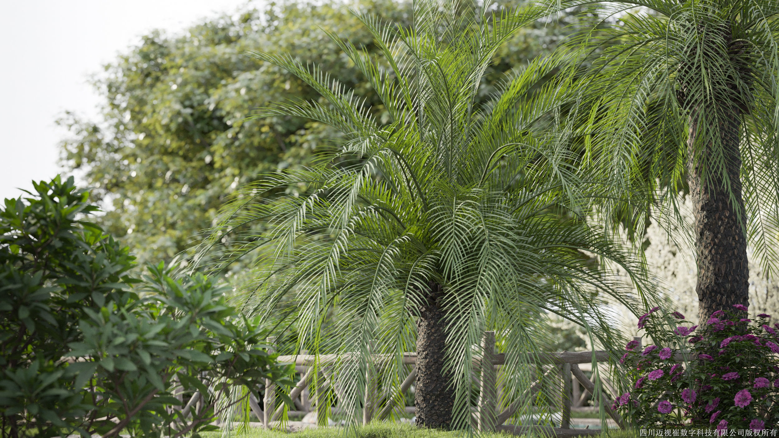 Maxtree Plant Models Vol 94 - Mesh 3D model_3