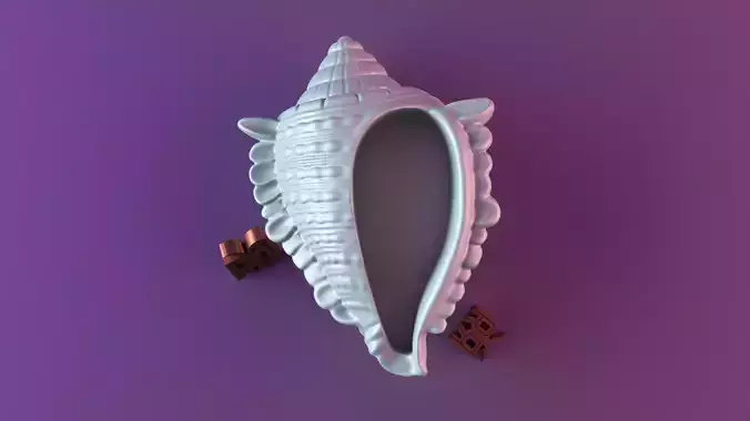 Conch Shell Shape jewelry 3D print model